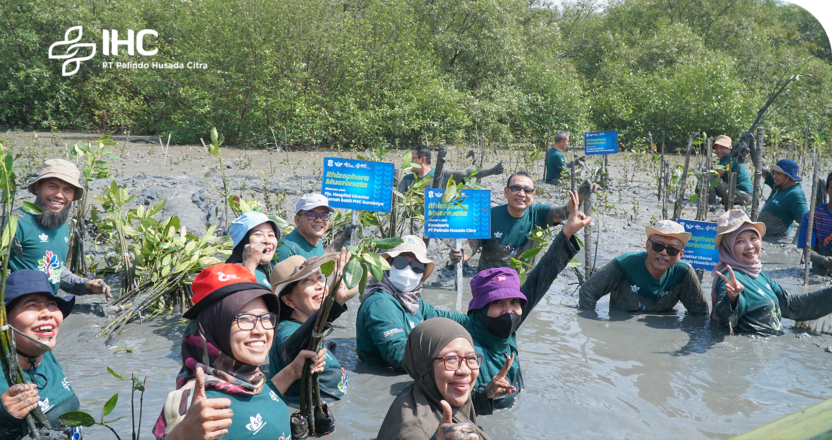 Lanjutkan Komitmen ESG, PHC Gelar Penanaman 1.500 Bibit Pohon Mangrove pada Kali Ketiga
